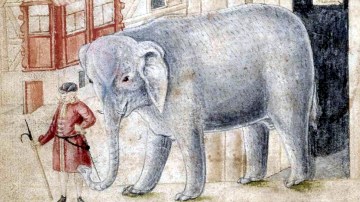 dundee elephant